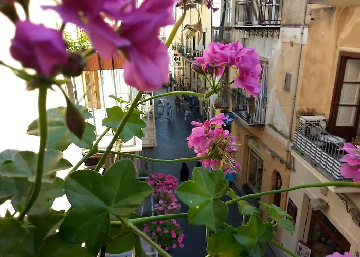 Del Corso